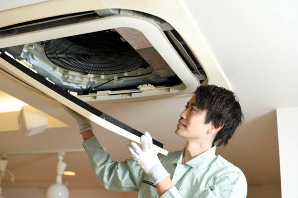 Best Air Duct Mold Removal  in Glenville, WV